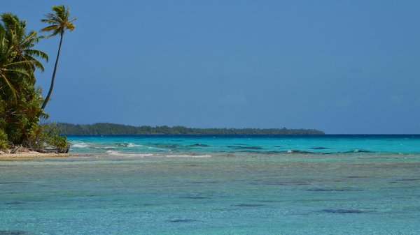 Manger près du Château de Versailles : guide des meilleurs restaurants